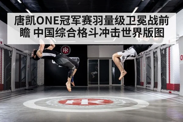 唐凯ONE冠军赛羽量级卫冕战前瞻 中国综合格斗冲击世界版图 | kaiyun